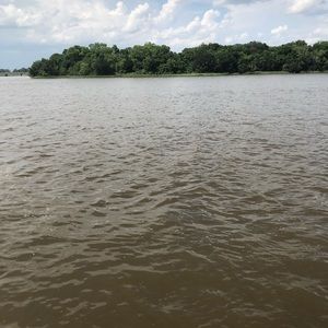 Meet your Posher, Naomi